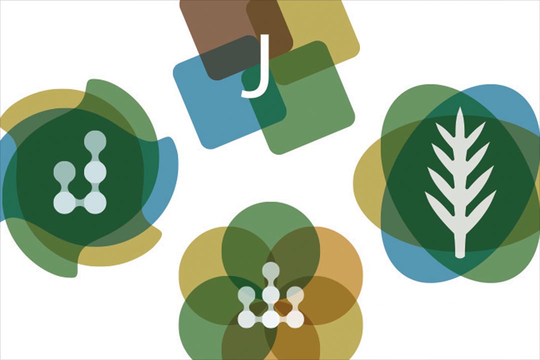 Identity and Collateral Design